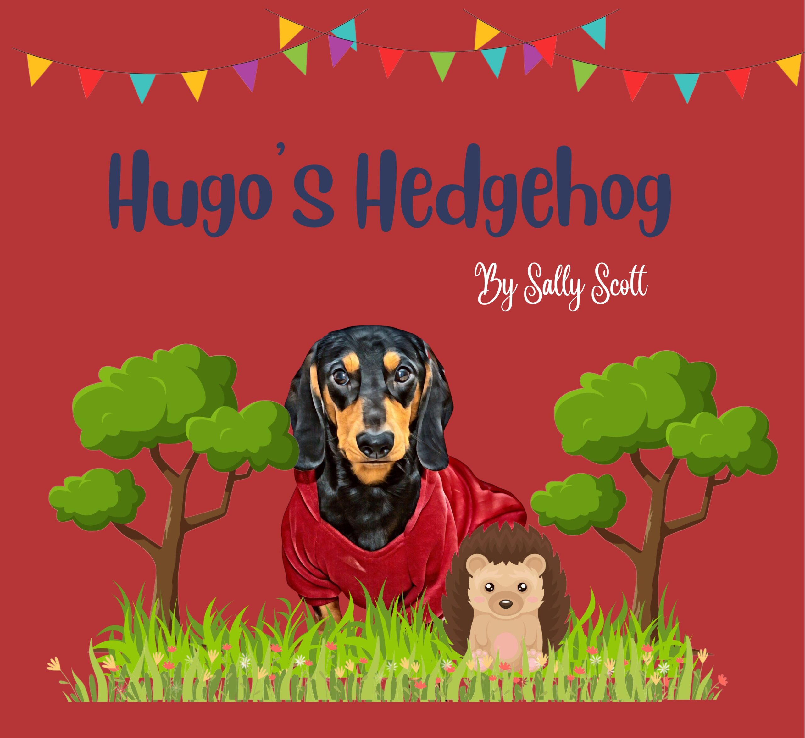 Hugo’s Hedgehog